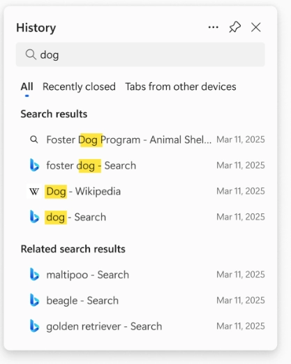 Microsoft Edge: AI-powered History search view