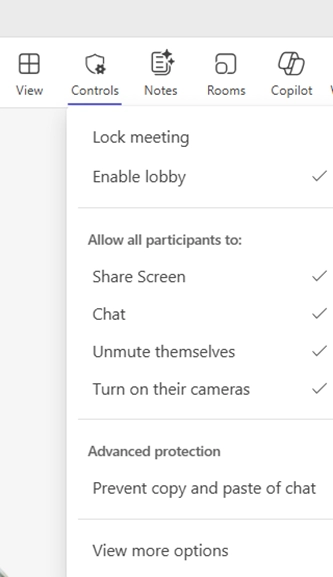 To access meeting options, click on View more options in the Organizer controls flyout