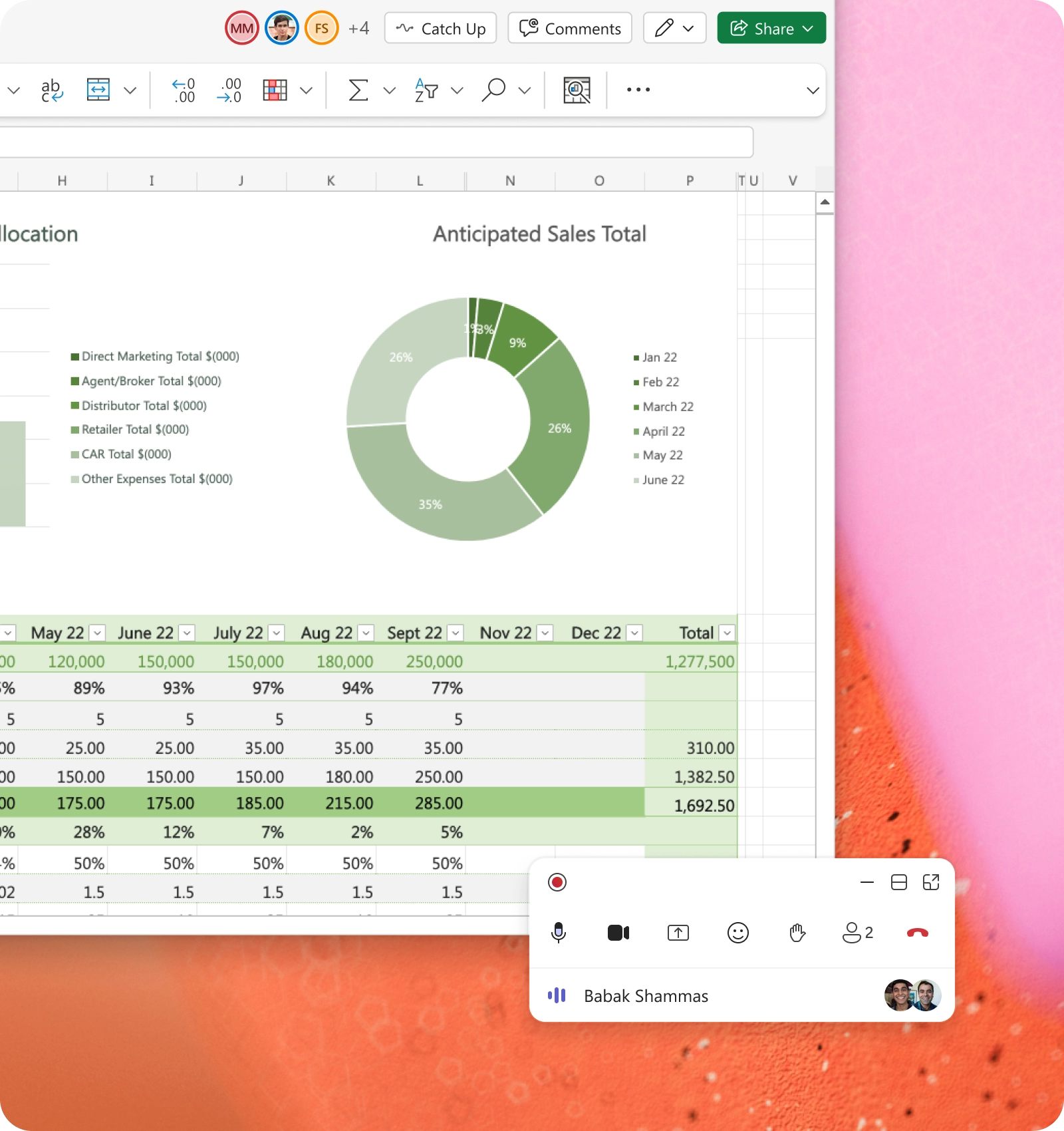 Compact view: Hides participant video and uses less screen space.